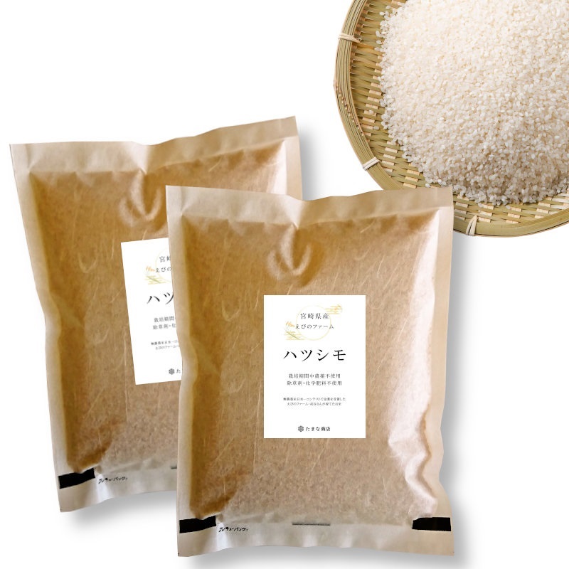 酵素玄米と自然食の店 たまな商店 宮崎県産 ハツシモ 無農薬米日本一