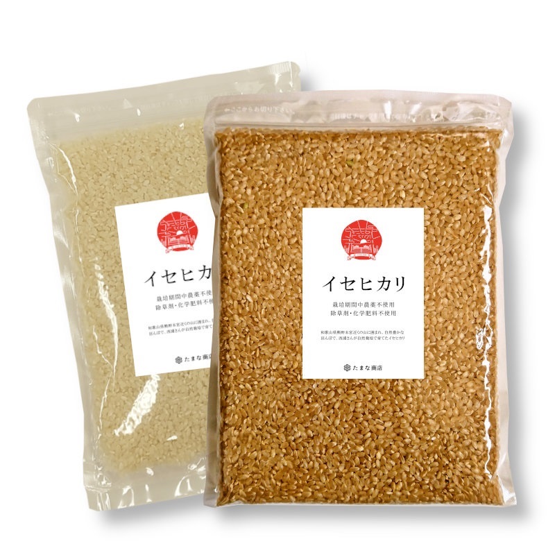 酵素玄米と自然食の店 たまな商店 和歌山県産 イセヒカリ 西浦さんが