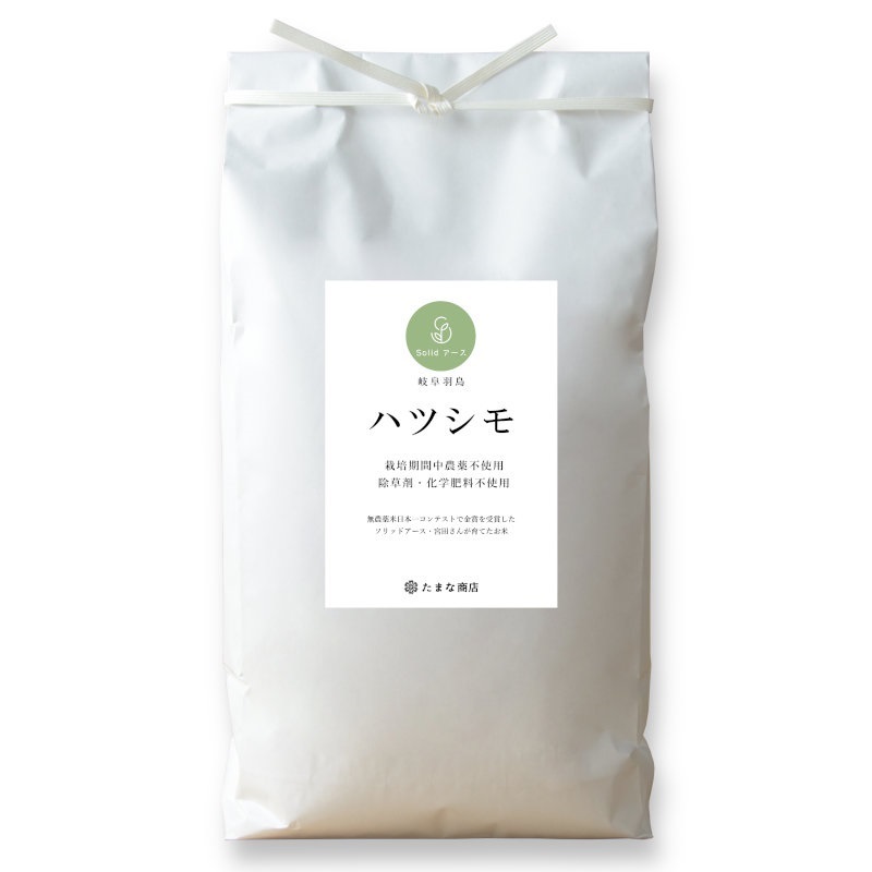ハツシモ中粒玄米60KG 送料無料】令和7年産 玄米 岐阜県産 ハツシモ 未検査〈大口〉 卸・即売