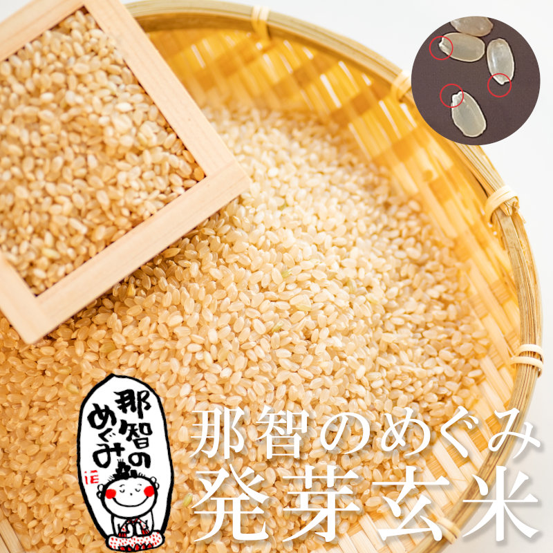 酵素玄米と自然食の店 たまな商店 【3合お試しパック】発芽玄米 那智の