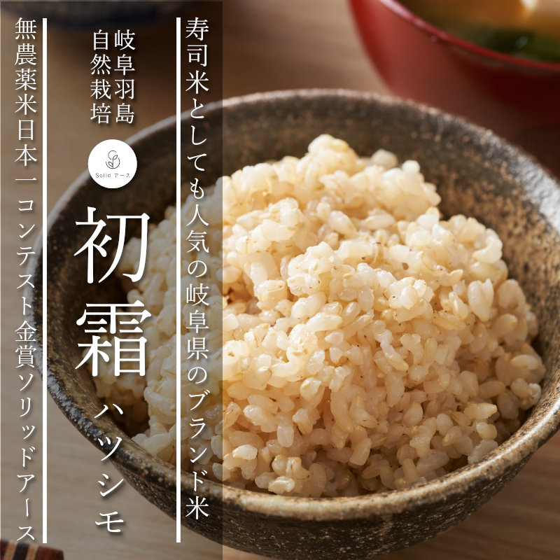 ハツシモ中粒玄米60KG 酵素玄米と自然食の店 たまな商店 岐阜県産 ハツシモ 「草は抜いても手