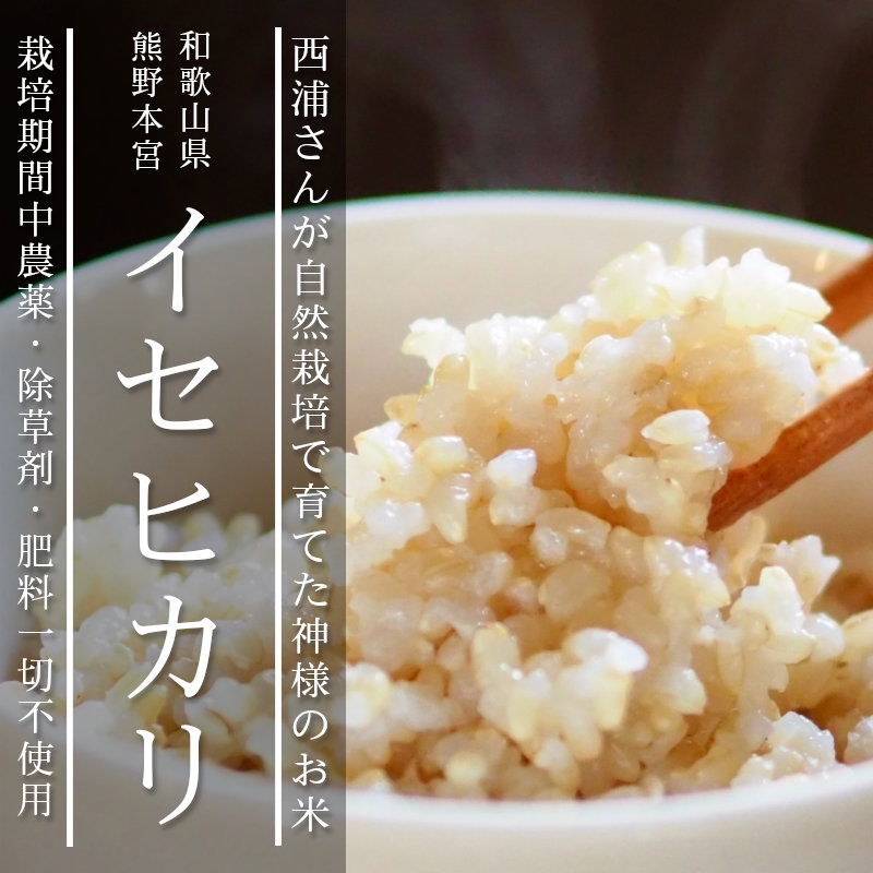 酵素玄米と自然食の店 たまな商店 和歌山県産 イセヒカリ 西浦さんが
