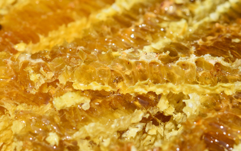 酵素玄米と自然食の店 たまな商店 蜂まかせ自然まかせの伝統的な