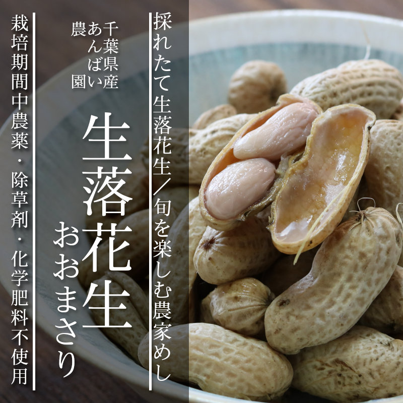 酵素玄米と自然食の店 たまな商店 これぞ究極の農家めし？！農家