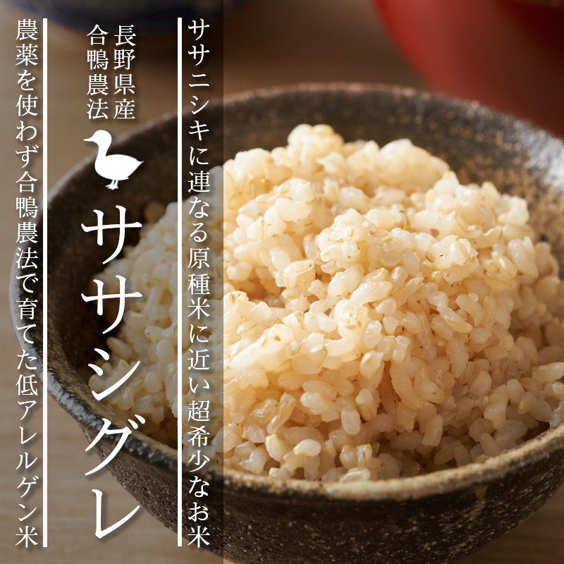T農薬不使用/天日干し/ササシグレ/籾30㎏箱x4/長野県塩尻産/令和5年 酵素玄米と自然食の店 たまな商店 これぞ日本のお米 自然で