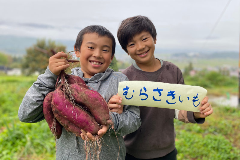 酵素玄米と自然食の店 たまな商店 長野県産 パープルスイートロード