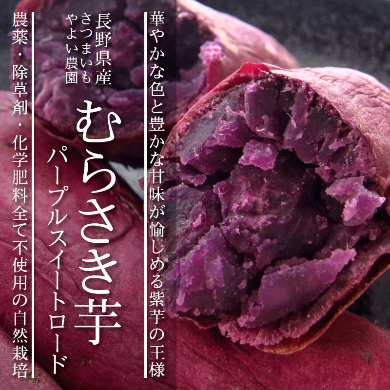 酵素玄米と自然食の店 たまな商店 長野県産 パープルスイートロード