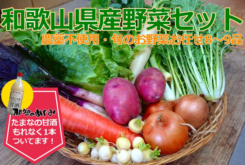 和歌山県産野菜セット