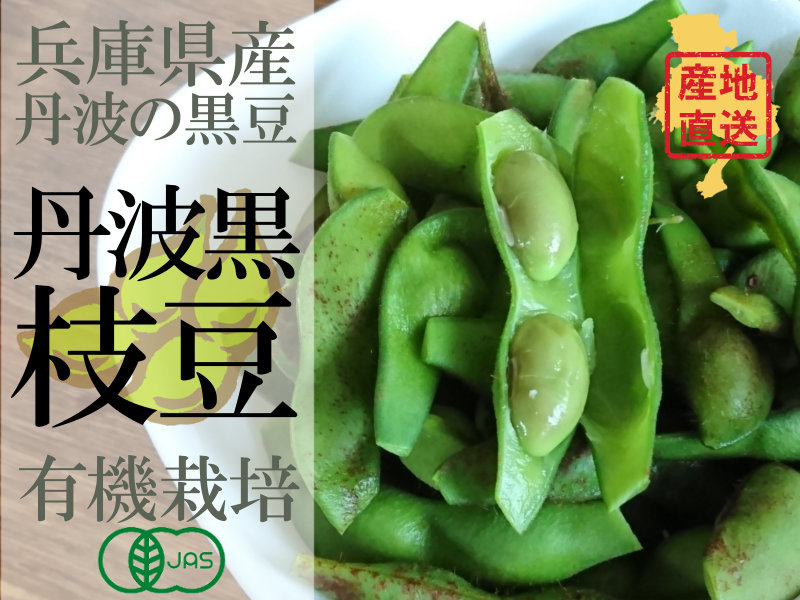 丹波篠山中島さんの黒枝豆