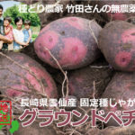 竹田さんの無農薬野菜グラウンドペチカ