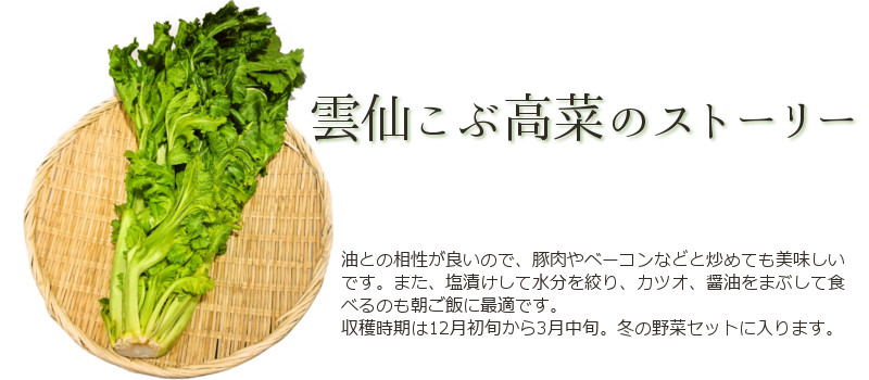 雲仙こぶ高菜のストーリー