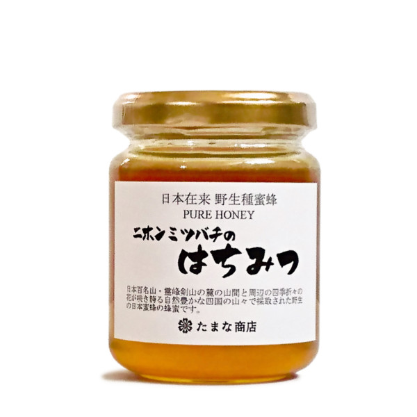 お取り寄せ 通販 日本在来 野生種蜜蜂 ニホンミツバチのはちみつ