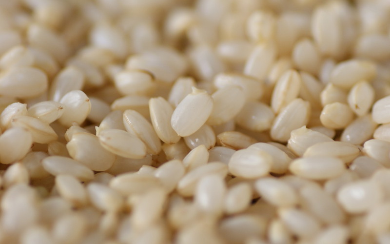 発芽玄米 って結局なにがいいの 普通の玄米との違いは Br 管理栄養士が徹底解説 たまな商店