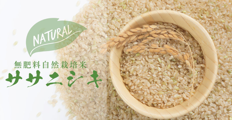 無肥料自然栽培米ササニシキ