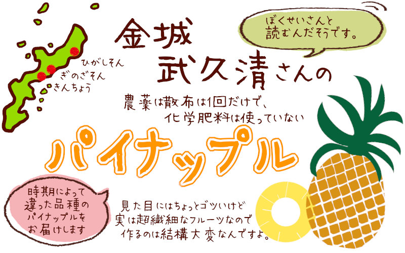 沖縄県産 ぼくせいさんのパイナップル 減農薬93 以上削減 たまな商店たまな商店