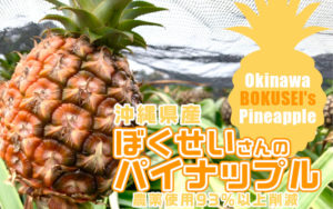 沖縄県産ぼくせいさんのパイナップル