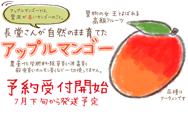 アップルマンゴー受付開始