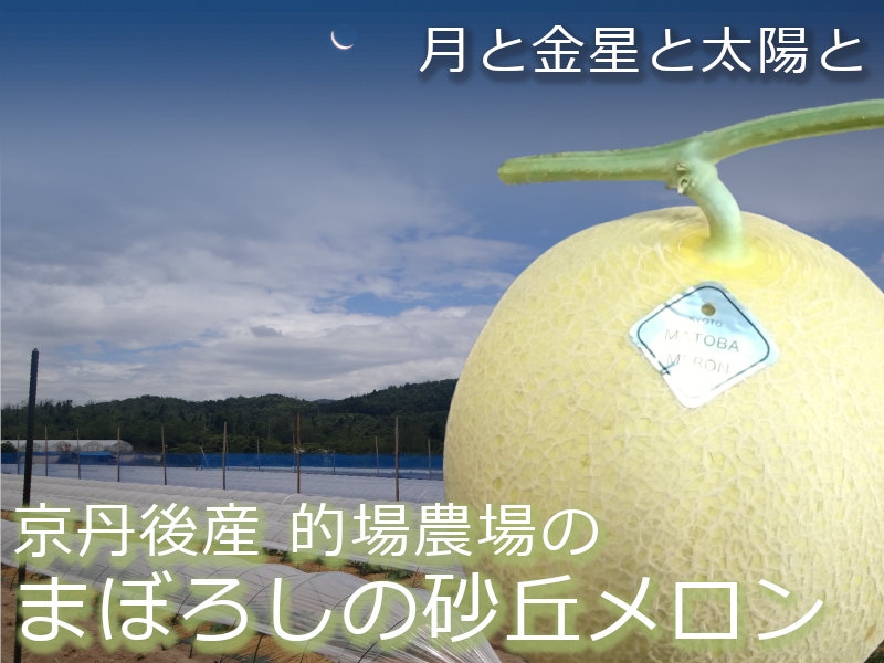 まぼろしの砂丘メロン