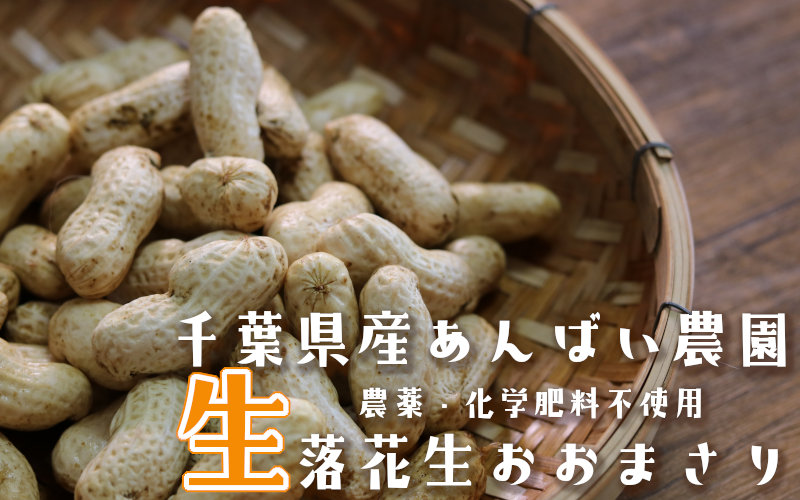 産地直送 通販 お取り寄せ 千葉県産 あんばい農園 梅津さんの生落花生おおまさり 農薬 化学肥料不使用 たまな商店たまな商店