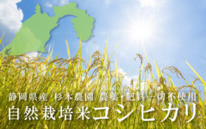静岡県産自然栽培米コシヒカリ