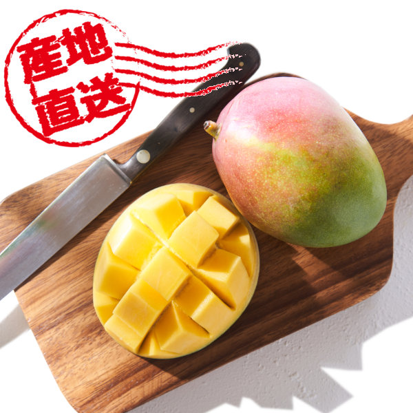 沖縄県産 長堂さんのアップルマンゴー