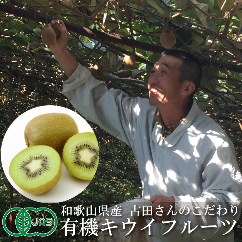 和歌山県産古田さんのこだわり有機キウイフルーツ