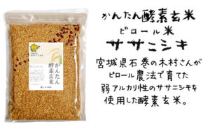 かんたん酵素玄米ピロールササニシキ