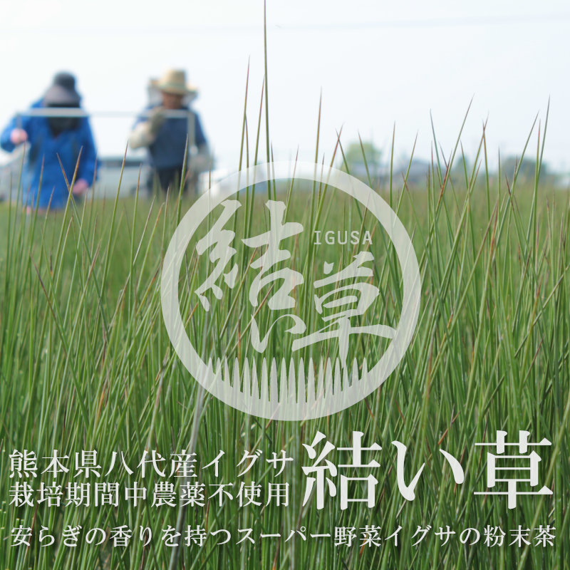 熊本県八代産イグサ粉末結い草
