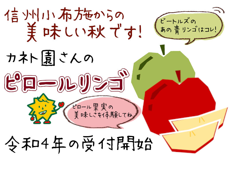 利根川さんのピロールリンゴ