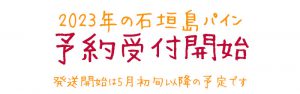 石垣島パイン予約受付開始