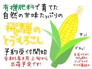おっぱらコーン受付開始