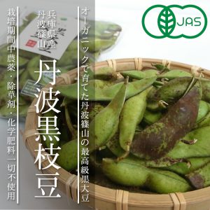 オーガニック丹波黒枝豆