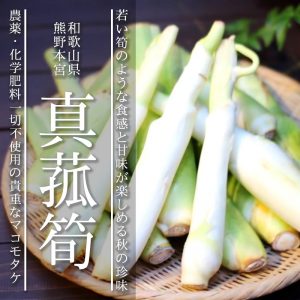 和歌山県産マコモタケ