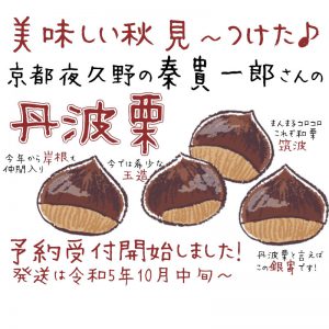 丹波栗受付開始