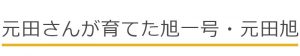 元田さんが育てた旭一号