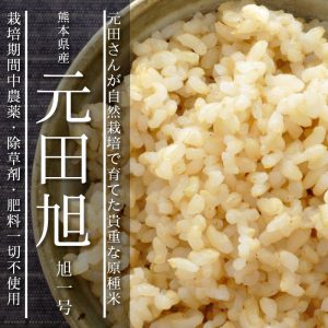 元田旭