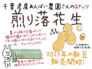2023年煎り落花生
