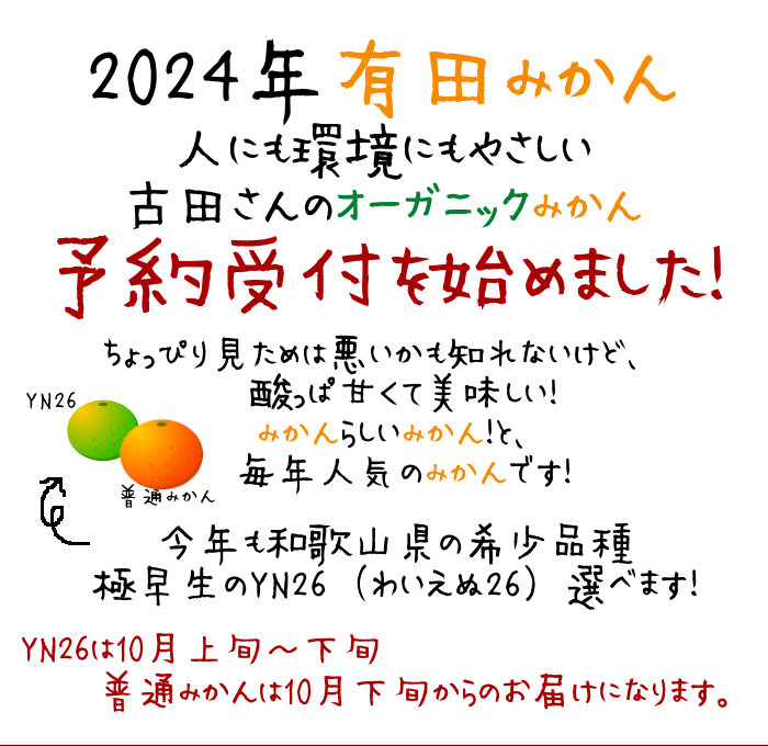 2024年のみかん受付開始