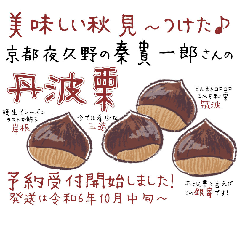 令和6年の丹波栗受付開始