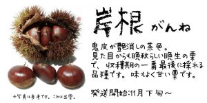 岸根11月下旬以降