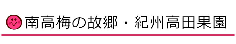 南高梅の故郷紀州高田果園