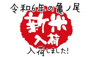 亀ノ尾6年産新米
