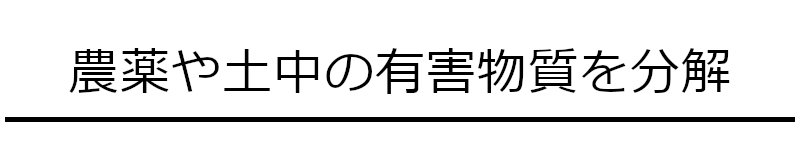 有害物質を分解