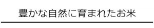豊かな自然に育まれたお米