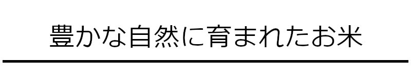 豊かな自然に育まれたお米