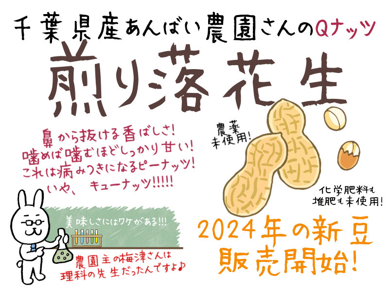 煎り落花生2024