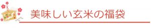 美味しい玄米の福袋