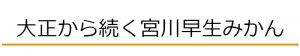 大正から続く宮川早生