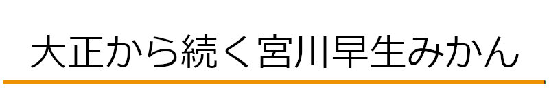 大正から続く宮川早生