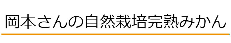 岡本さんの自然栽培完熟みかん